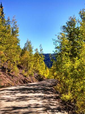 Dirt road on a mountain at our christian camp in colorado for father son bonding