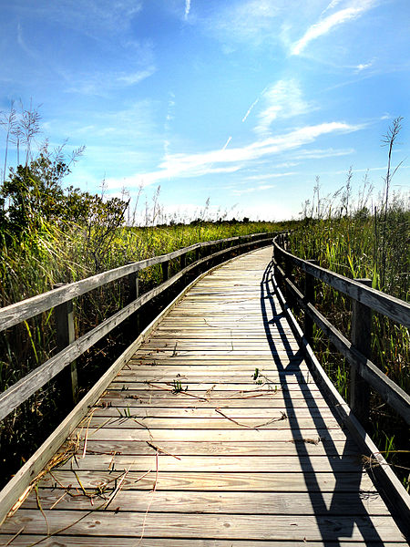 Wooden bridge crossing marsh - an example of authentic manhood if you're looking for father son weekend ideas