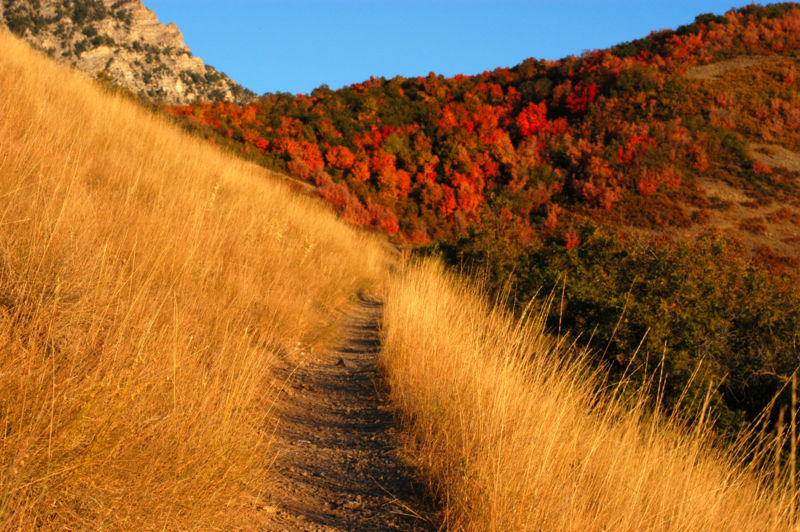 Dirt path on the side of a mountain at Christ In The Rockies - a perfect father son weekend idea