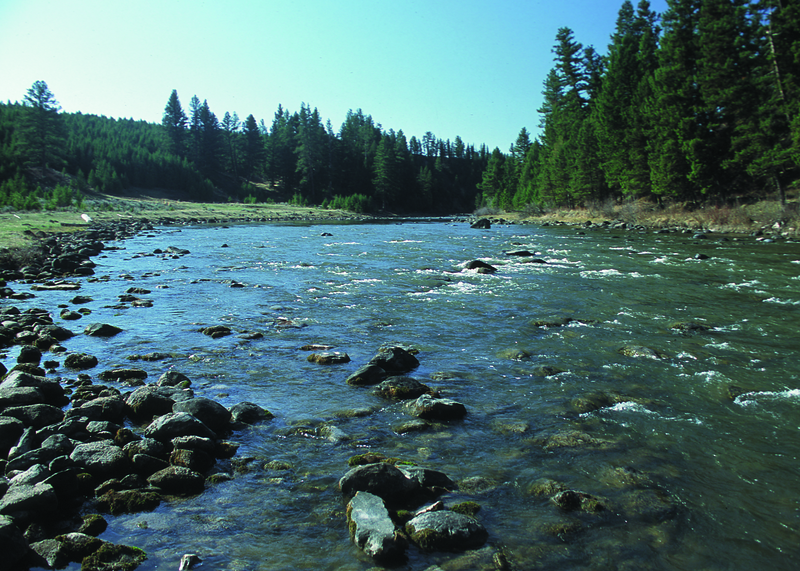 Stream Running Down The Mountains - Paul Maclean - Journey Of Authentic Manhood - Christ In The Rockies