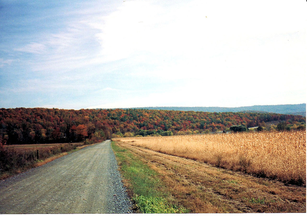 Mountain And Road - A View From Our Christian Summer Camp